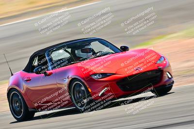media/Mar-23-2025-West Coast Racing (Sun) [[de161b708f]]/Blue Group/Session 3 (Turns 3 and 5)/